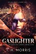 Gaslighter - Bild 1
