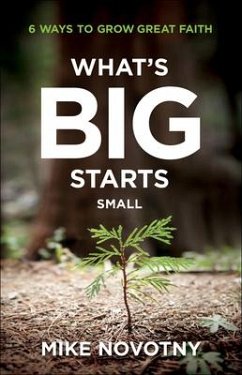 What's Big Starts Small - Novotny, Mike