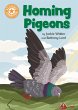 Homing Pigeons (eBook, ePUB) - Bild 1