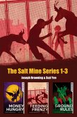 The Salt Mine Boxed Set 1-3 (eBook, ePUB)