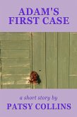 Adam's First Case (eBook, ePUB)