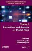 Perceptions and Analysis of Digital Risks (eBook, PDF)