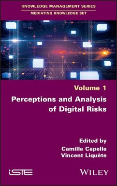 Perceptions and Analysis of Digital Risks (eBook, PDF)
