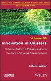 Innovation in Clusters (eBook, ePUB)