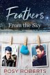 Feathers From the Sky (eBook, ePUB) - Bild 1