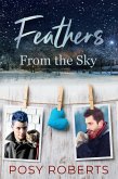 Feathers From the Sky (eBook, ePUB)