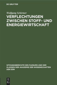 Verflechtungen zwischen Stoff- und Energiewirtschaft - Schirmer, Wolfgang