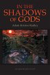 In the Shadows of Gods - Bild 1