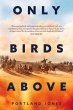 Only Birds Above - Bild 1
