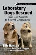 Laboratory Dogs Rescued - Bild 1