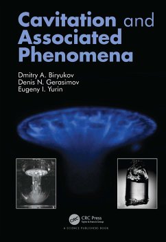 Cavitation and Associated Phenomena - Biryukov, Dmitry;Gerasimov, Denis;Yurin, Eugeny