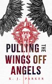 Pulling the Wings Off Angels (eBook, ePUB)