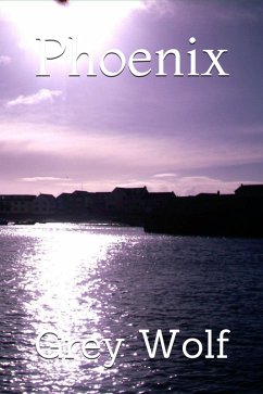 Cover Phoenix (eBook, ePUB)