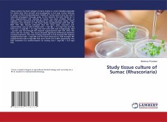 Study tissue culture of Sumac (Rhuscoriaria) - Pourdad, Behrouz