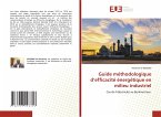 Guide méthodologique d¿efficacité énergétique en milieu industriel