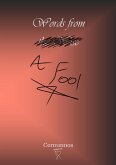 Words from a Fool (eBook, ePUB)