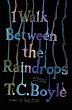 I Walk Between the Raindrops (eBook,... - Bild 1