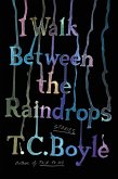 I Walk Between the Raindrops (eBook, ePUB)