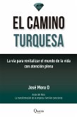 El camino turquesa (eBook, ePUB)