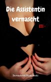 Die Assistentin vernascht (eBook, ePUB)