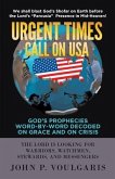 Urgent Times Call on USA (eBook, ePUB) Urgent Times Call on USA (eBook, ePUB)