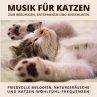Musik für Katzen zum Beruhigen,... - Bild 1