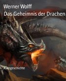 Das Geheimnis der Drachen (eBook, ePUB)