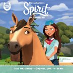 Folge 25: Wildwest-Fohlen-Sommer-Freiluft-Camp - Teil 1+2 (Das Original-Hörspiel zur TV-Serie) (MP3-Download)