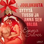1. joulukuuta: Sytytä tussu ja anna sen valua – eroottinen joulukalenteri (MP3-Download)