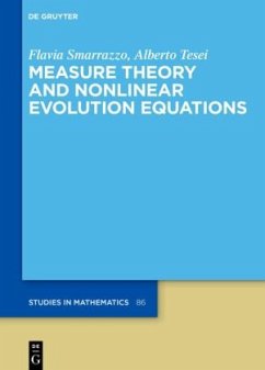 Measure Theory and Nonlinear Evolution Equations - Smarrazzo, Flavia;Tesei, Alberto