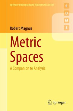 Metric Spaces - Magnus, Robert
