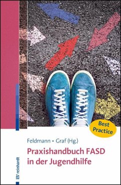 Praxishandbuch FASD in der Jugendhilfe