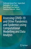 Assessing COVID-19 and Other Pandemics and Epidemics using Computational Modelling and Data Analysis (eBook, PDF)