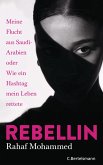 Rebellin (eBook, ePUB)