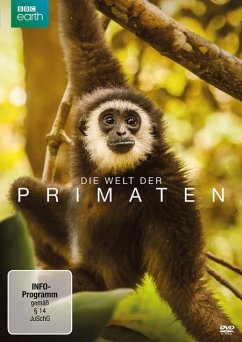 Die Welt Der Primaten