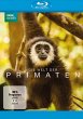 Die Welt Der Primaten - Bild 1