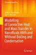 Modelling of Convective Heat and Mass... - Bild 1