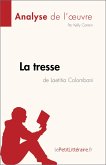 La tresse de Laetitia Colombani (Analyse de l'oeuvre) (eBook, ePUB)