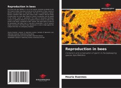Reproduction in bees - Ouennes, Houria