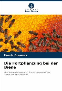 Die Fortpflanzung bei der Biene - Ouennes, Houria