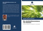 Die Antibiotikaresistenz von Keimen