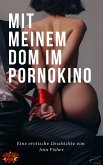Mit meinem DOM im Pornokino (eBook, ePUB)