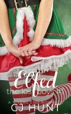 Elfed (eBook, ePUB)