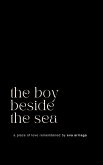 the boy beside the sea (eBook, ePUB)