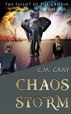 Chaos Storm (eBook, ePUB)