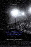 Zwei Außenseiter an Weihnachten (eBook, ePUB)