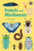 A Ladybird Book: Insects and Minibeasts (eBook, ePUB)