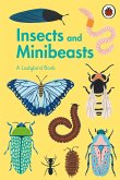 A Ladybird Book: Insects and Minibeasts (eBook, ePUB) A Ladybird Book: Insects and Minibeasts (eBook, ePUB)