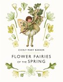 Flower Fairies of the Spring (eBook, ePUB)