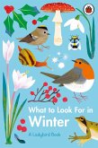 What to Look For in Winter (eBook, ePUB)